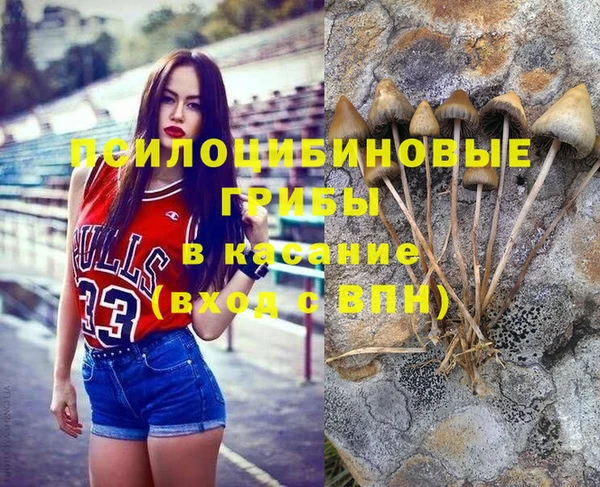 каннабис Баксан