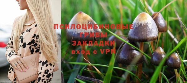 первитин Балахна